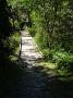 crowdy-national-park 012